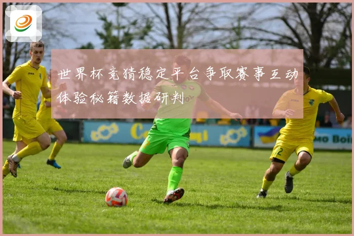 世界杯竞猜稳定平台争取赛事互动体验秘籍数据研判