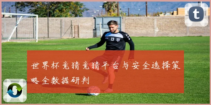 世界杯竞猜竞猜平台与安全选择策略全数据研判
