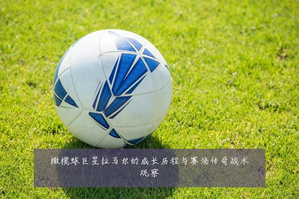 橄榄球巨星拉马尔的成长历程与赛场传奇战术观察