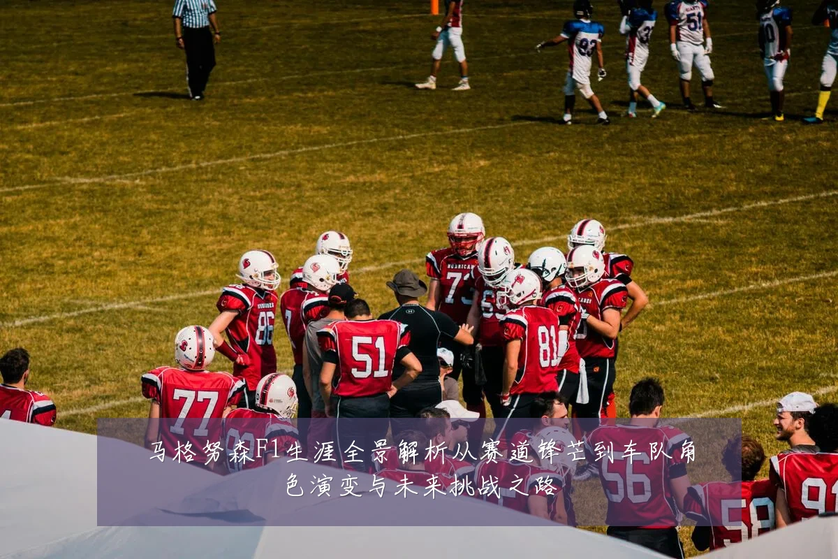 马格努森F1生涯全景解析从赛道锋芒到车队角色演变与未来挑战之路
