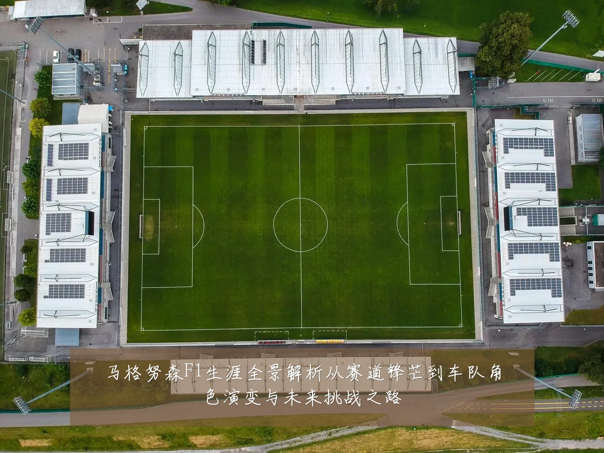马格努森F1生涯全景解析从赛道锋芒到车队角色演变与未来挑战之路