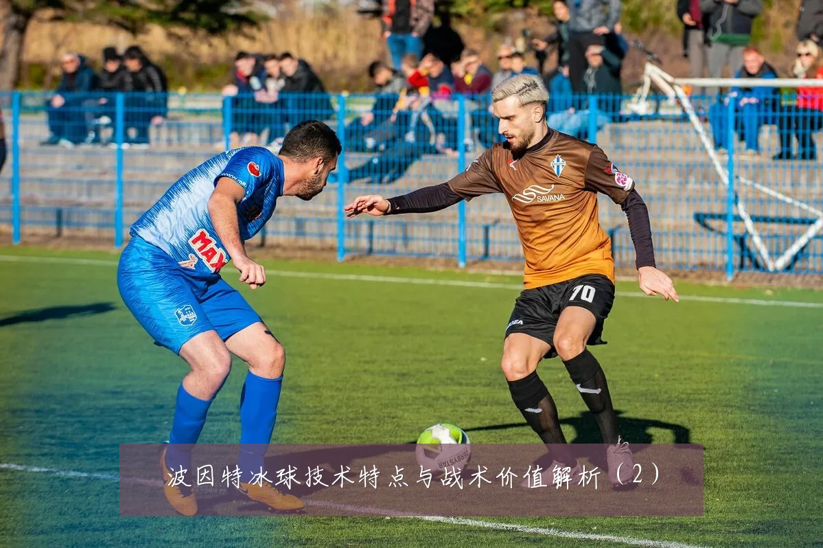 波因特冰球技术特点与战术价值解析（2）